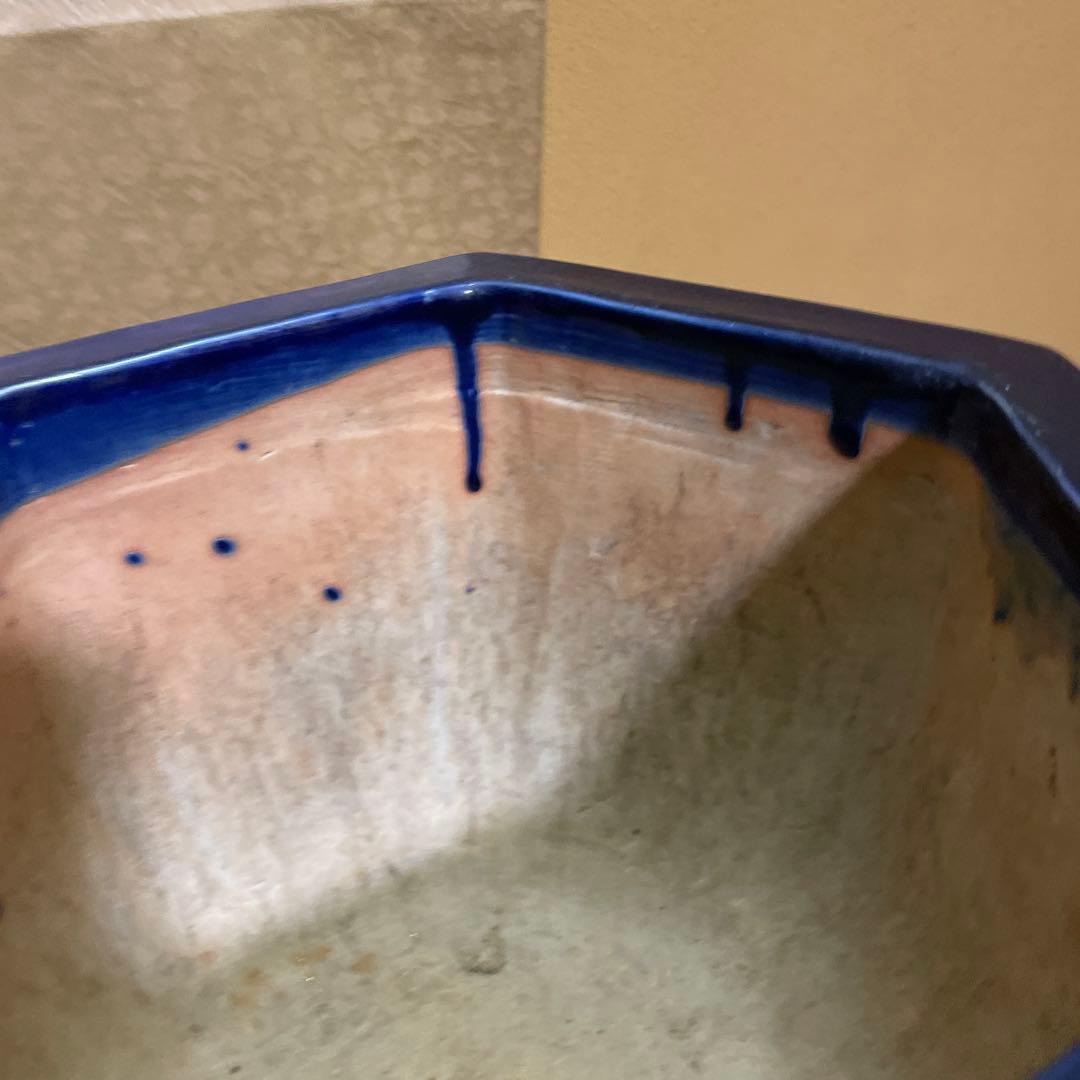 瀬戸焼 瑠璃釉 六角植木鉢 天山鉢 富貴蘭 山野草 盆栽 園芸 陶器製