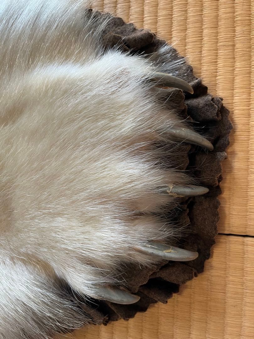 白熊　剥製　ラグ