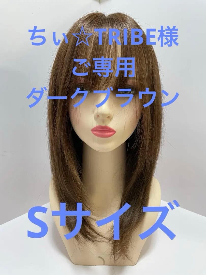 フルウィッグ人毛100%人毛ウィッグ医療ウィッグロングストレート広い頭皮Sサイズ