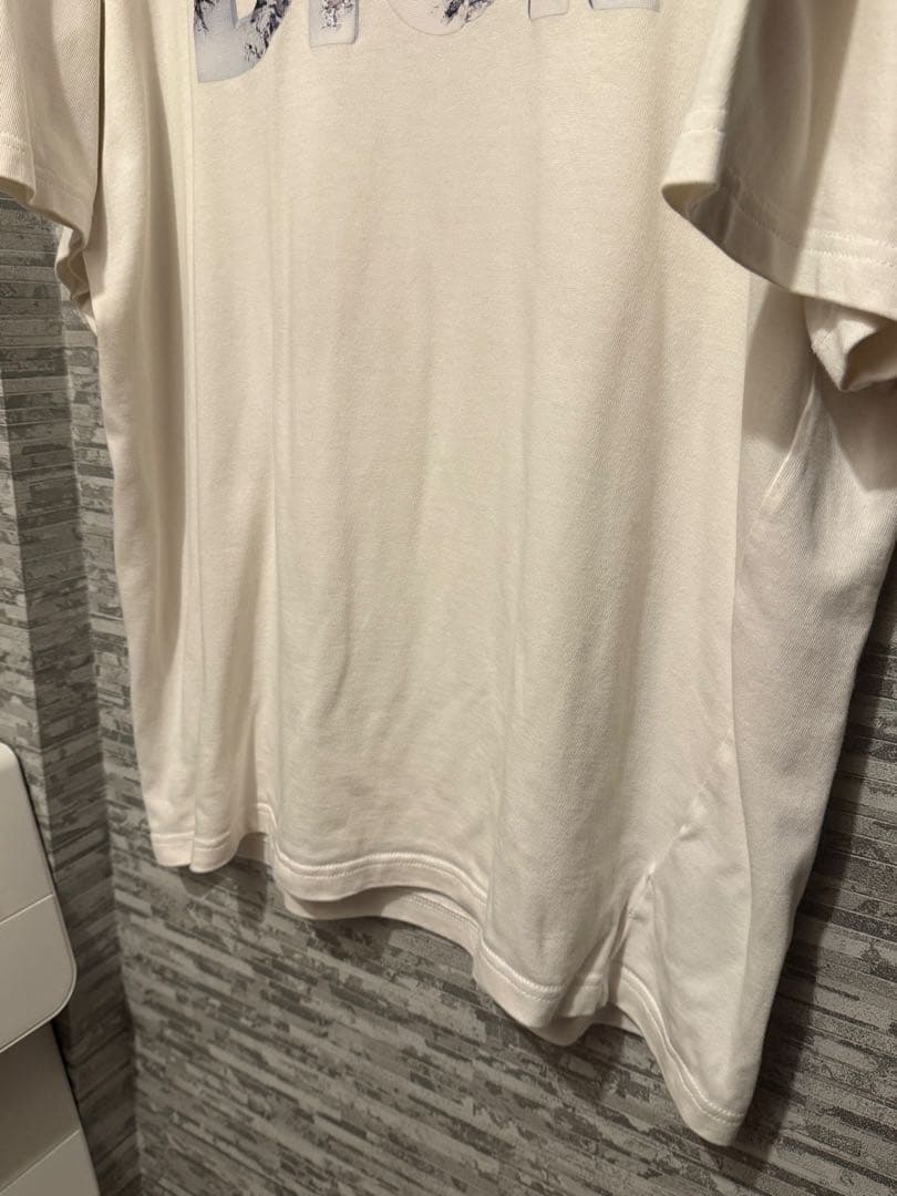 一*条様 DIOR x DANIEL ARSHAM Logo tシャツ XL