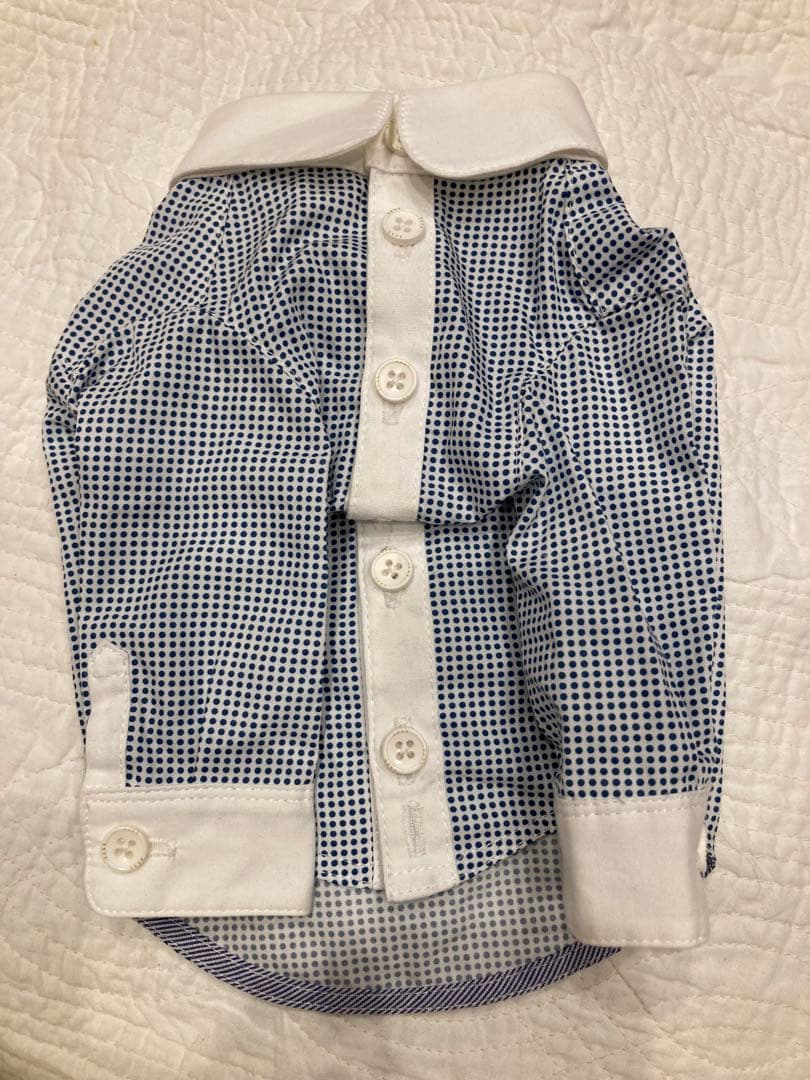 アトリエgg 正統派 白襟 シャツ