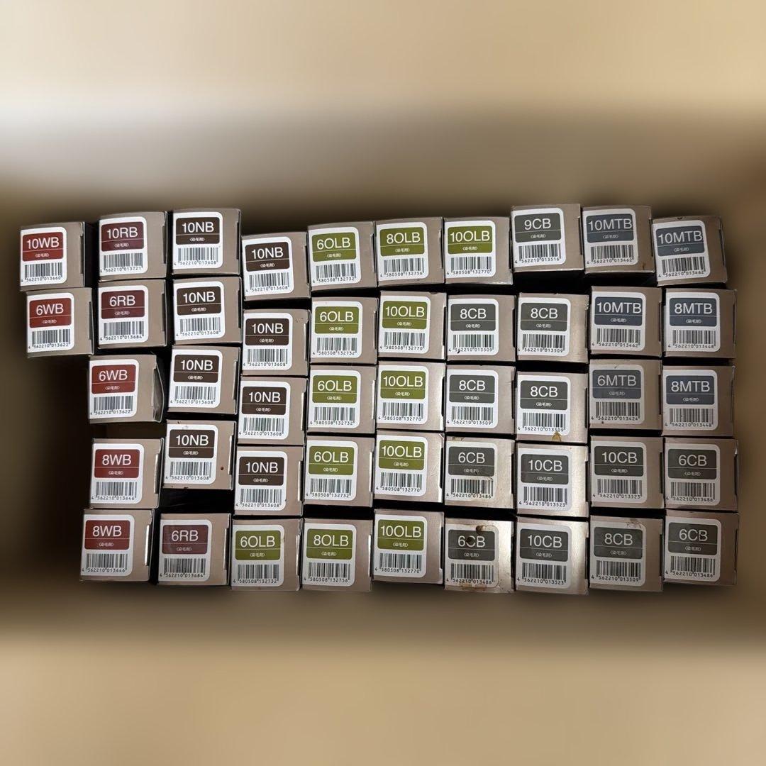 フィヨーレ FIOLE ラディーチェ BLカラー 白髪染め 47本