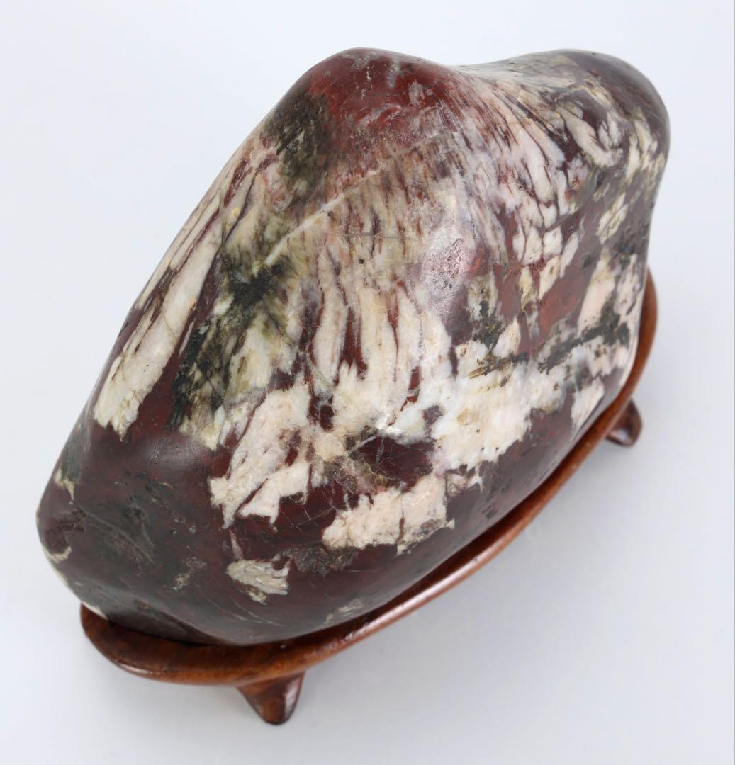 根尾川 菊花石 紋石 共箱 台座付 811g 鑑賞石 原石 自然石 水石 盆石