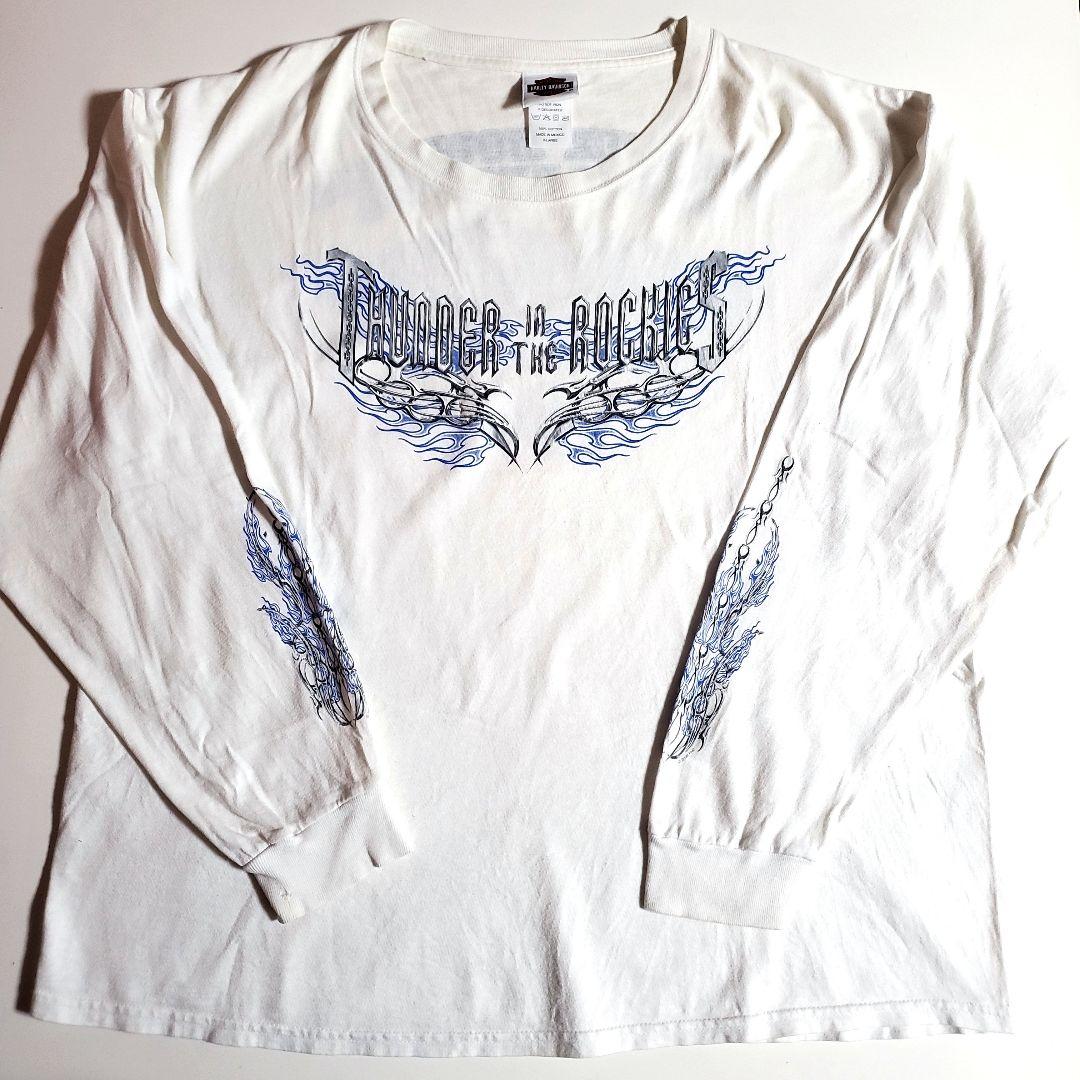 ハーレーダビッドソン　プリント　ロゴ　ファイアー　フレイム　白　長袖　ロングT