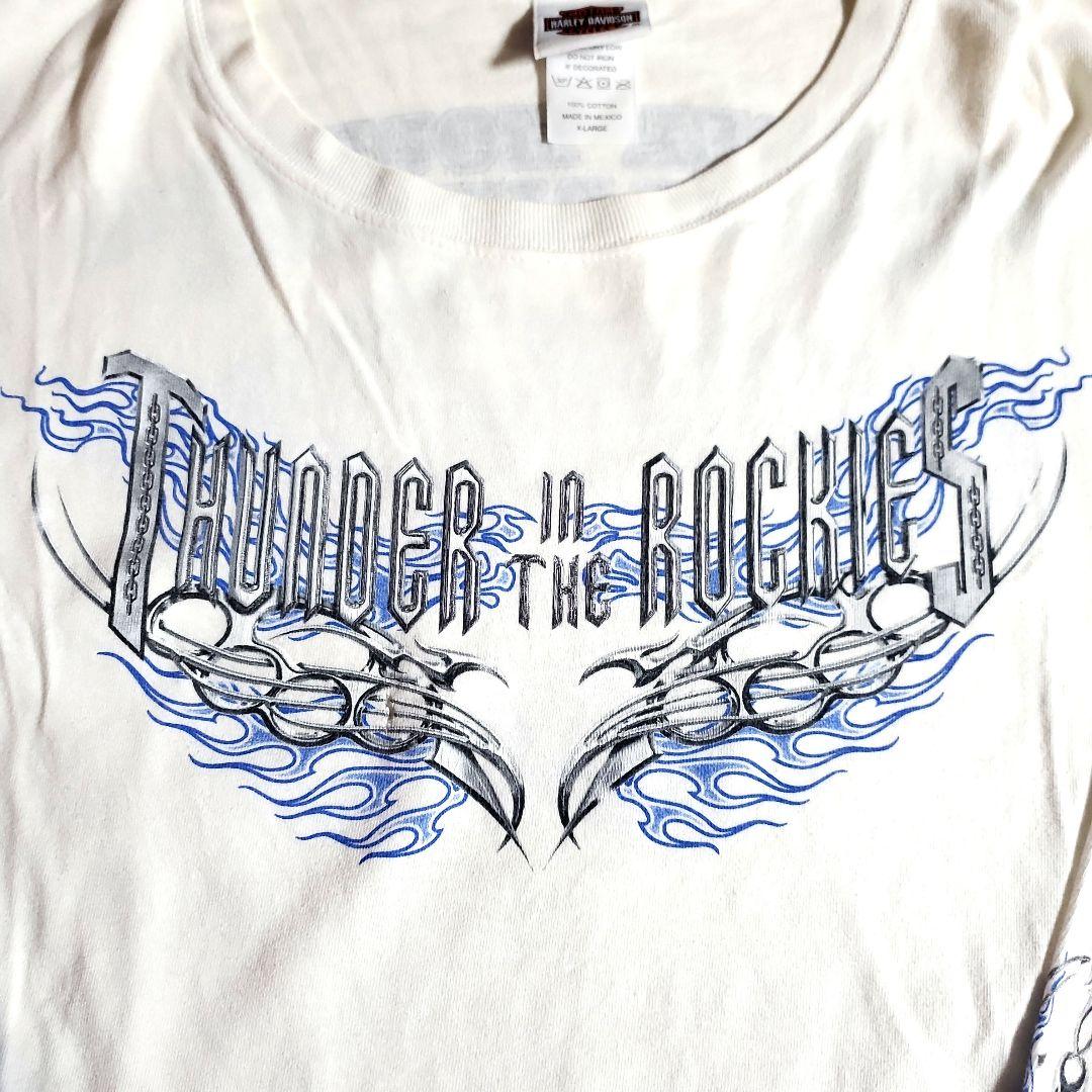 ハーレーダビッドソン　プリント　ロゴ　ファイアー　フレイム　白　長袖　ロングT