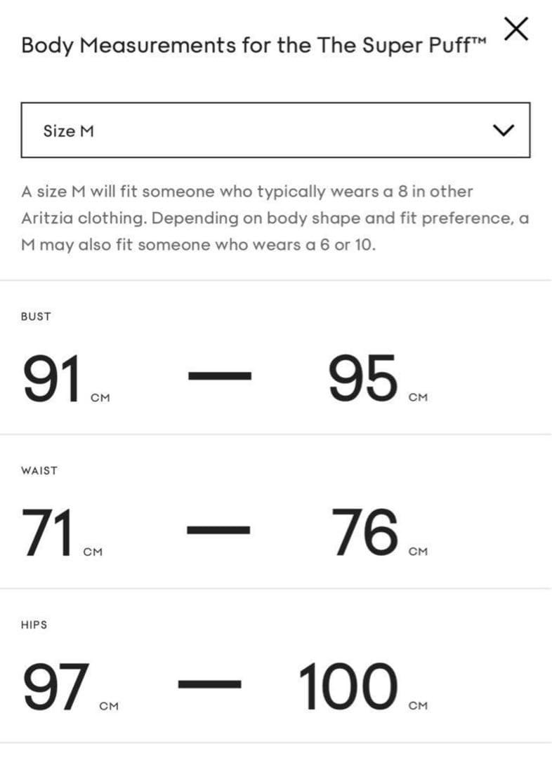 Aritzia THE SUPER PUFF ダウン ノースフェイス スキー