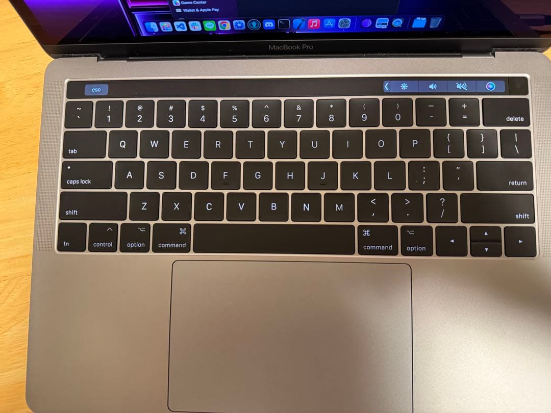 Apple MacBook Pro A1706(2017) 現状品