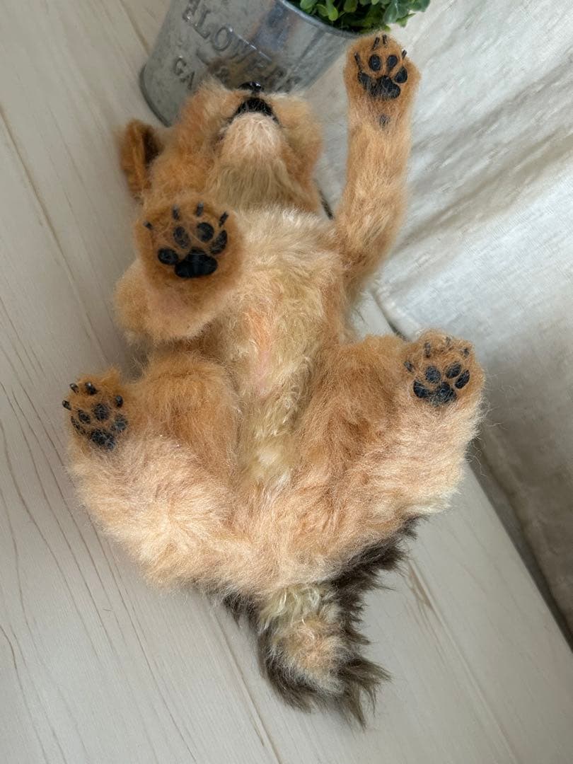 羊毛フェルト　ヨークシャテリア　ハンドメイド　犬　ねえねえ！！(大)
