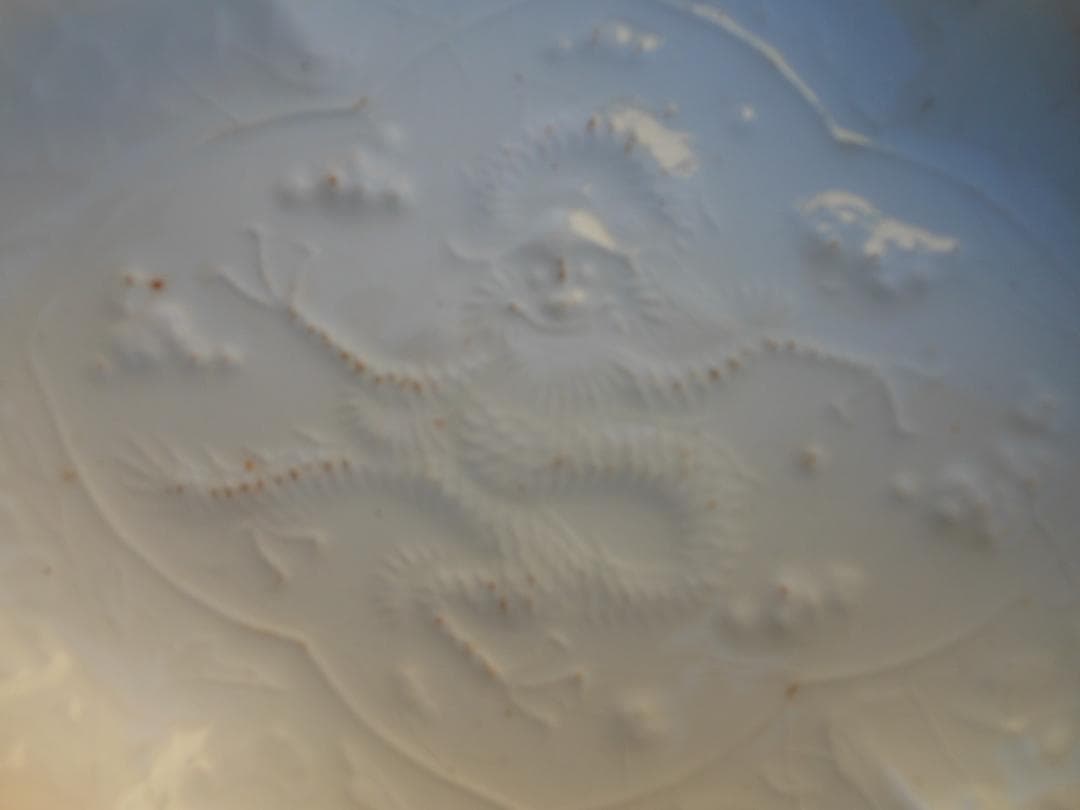皿　白色　陽刻　龍図　木瓜型　古美術 時代物 和食器