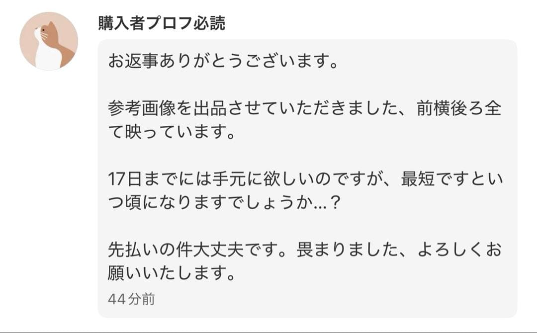 購入者プロフ必読さん オーダーウィッグ