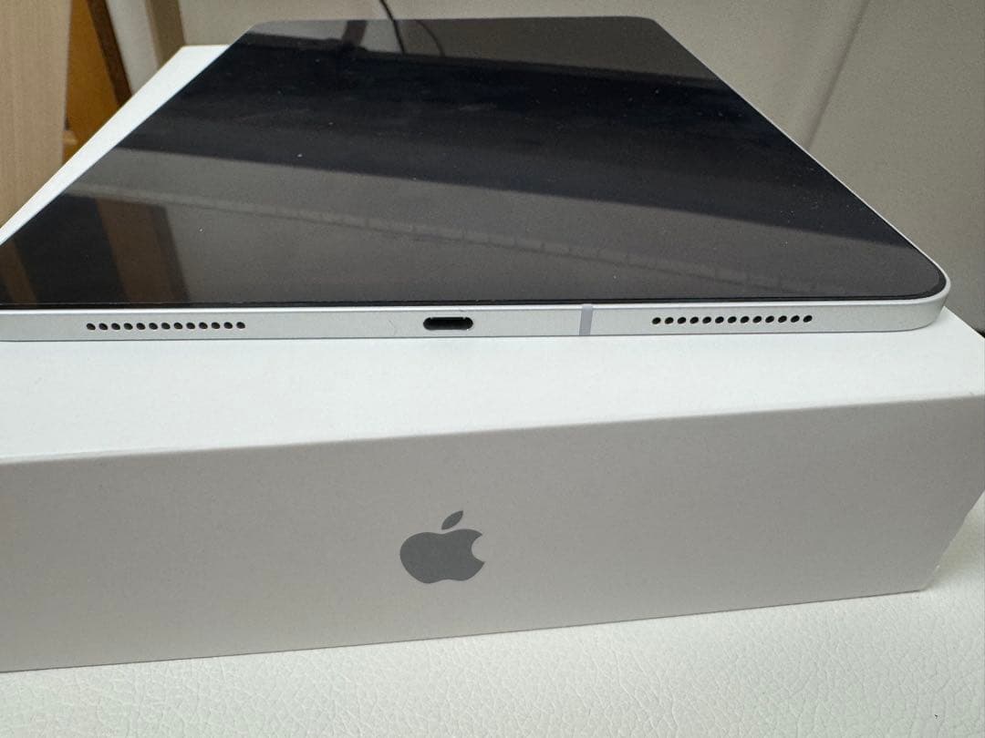 iPad Pro 11-inch (第1世代) Wi-Fi + Cellular