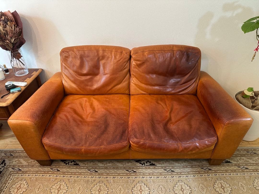 その他 ACME Furniture FRESNO SOFA 2P