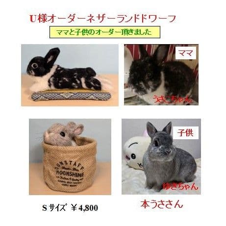 オーダー停止中です　羊毛フェルト　うさぎ　オーダーメイド専用ページ　あにまるらぼ