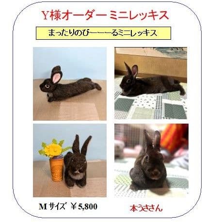 オーダー停止中です　羊毛フェルト　うさぎ　オーダーメイド専用ページ　あにまるらぼ