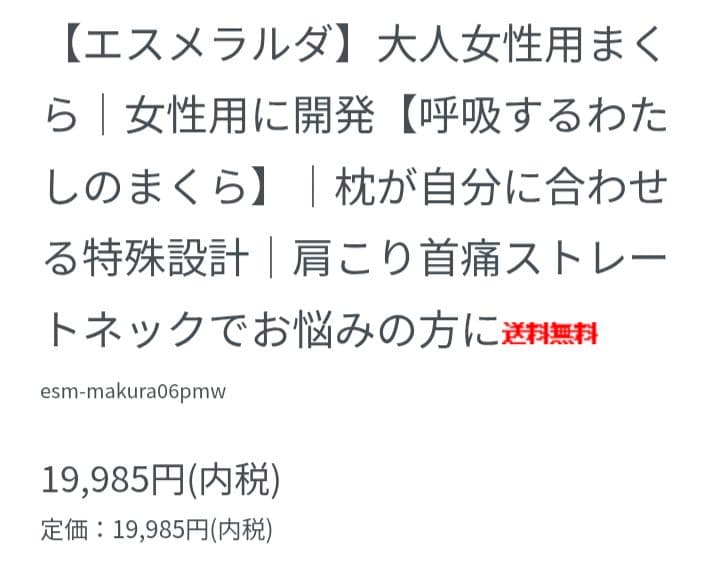 ✨美品✨Esmeralda エスメラルダ　呼吸するわたしの枕女性用┼枕カバー┼袋