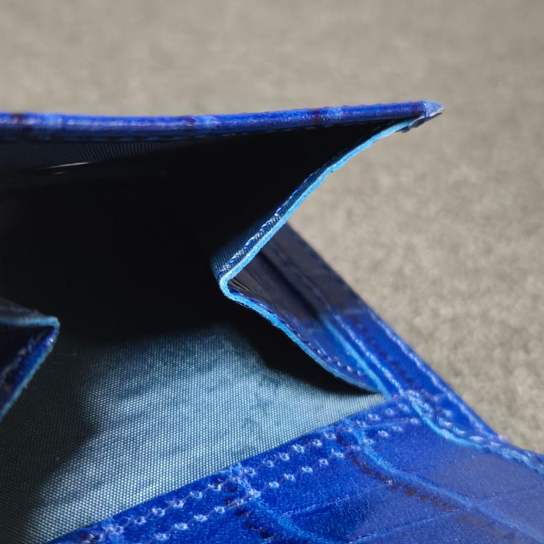 【EXENTRl】エキセントリ マルチウォレットカイマンブルー★