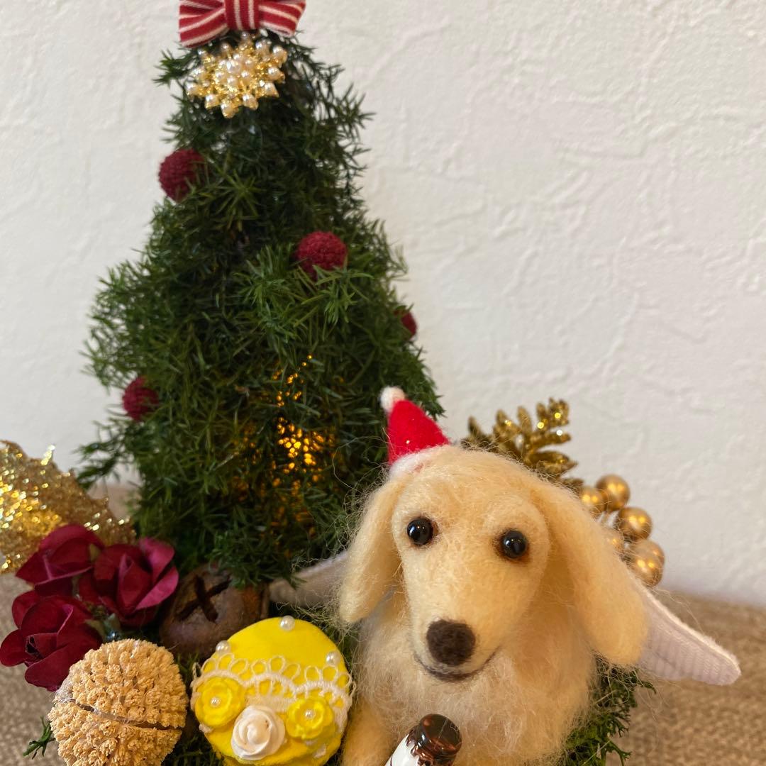 クリスマスアレンジ&ダックスちゃん