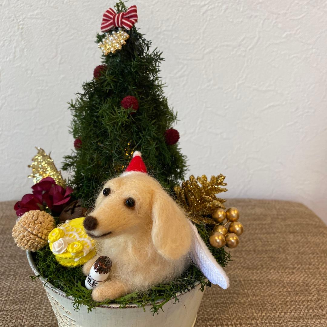クリスマスアレンジ&ダックスちゃん