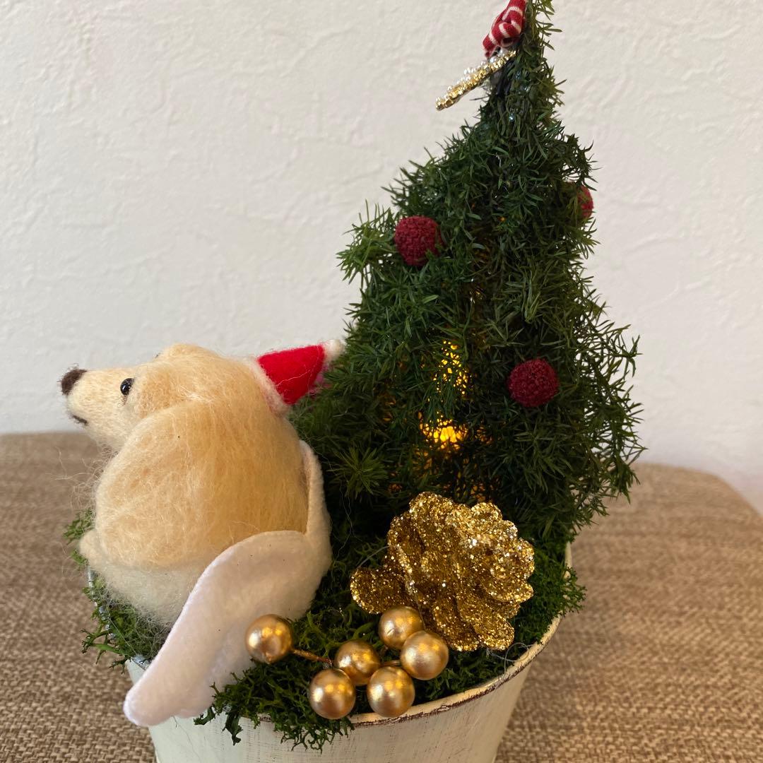 クリスマスアレンジ&ダックスちゃん