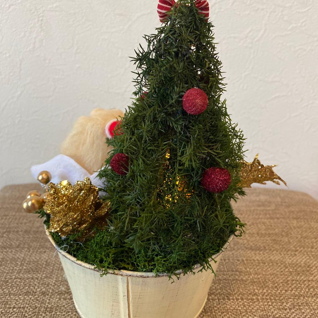 クリスマスアレンジ&ダックスちゃん