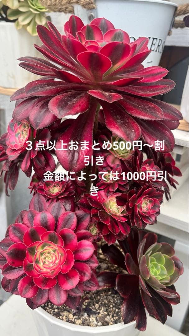 おまとめ割500〜1000円引き