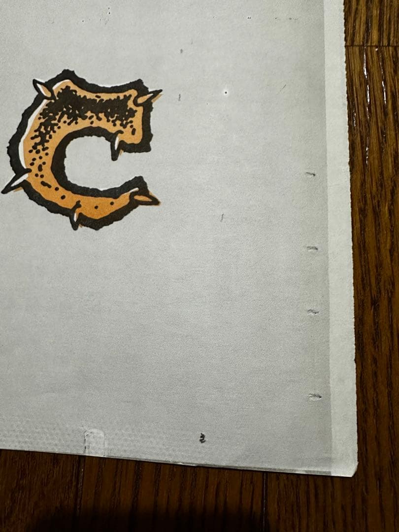 お*)様 zorlac 大判　ポスター　2枚セット