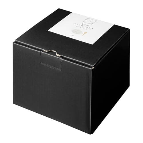 Aアンドエヌイー(&NE) 萬古焼 ごはん鍋 竹しゃもじ付 ハレとケ ブラック