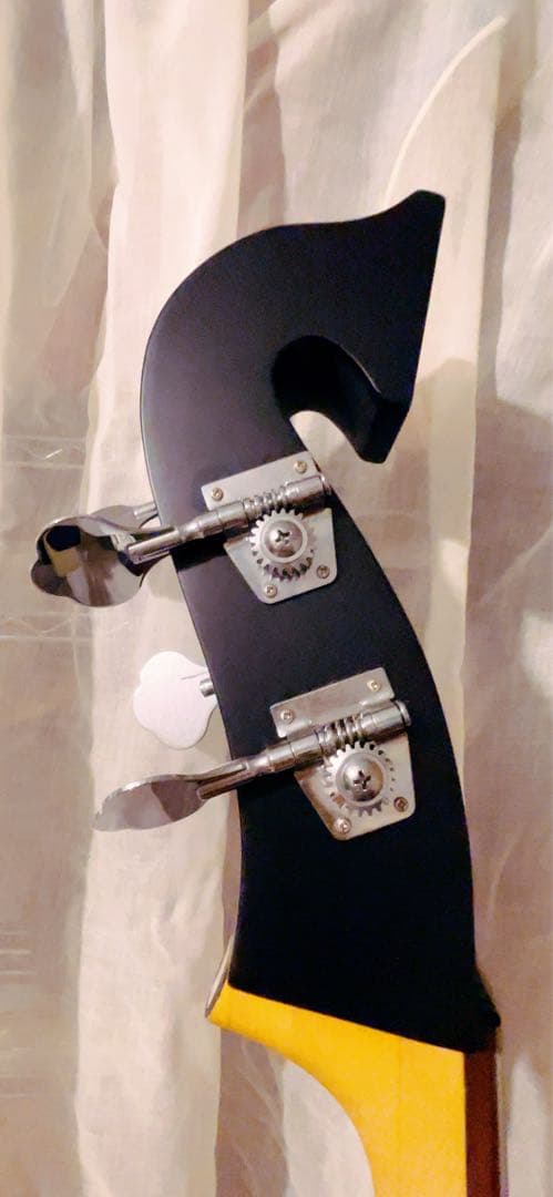 Warwick Rock Bass Triumph Lite アップライトベース