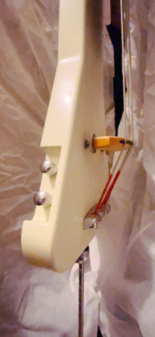 Warwick Rock Bass Triumph Lite アップライトベース