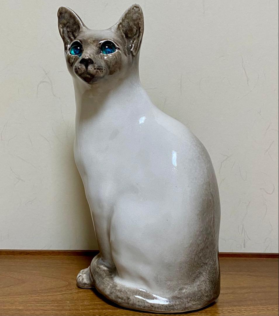 ウィンスタンレイキャット　ケンジントンキャット　寒色系シャム猫　サイズ5