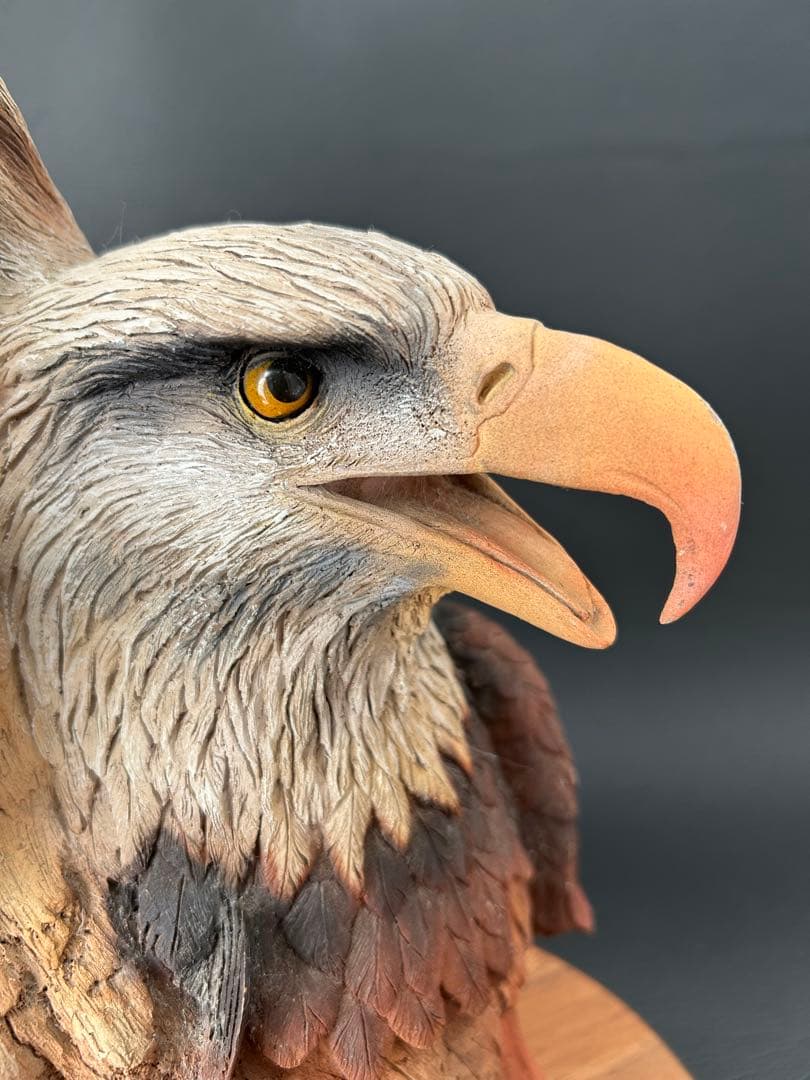 置物 Neil Rose BIRDS OF PREY Resin Sculpture