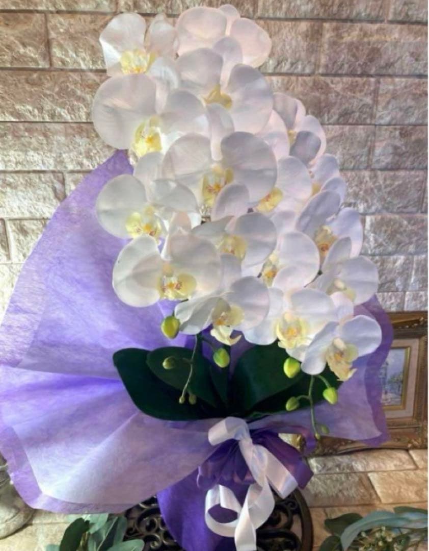 光触媒　人工観葉植物　ウォールグリーン　フェイクグリーン　リアル胡蝶蘭w2