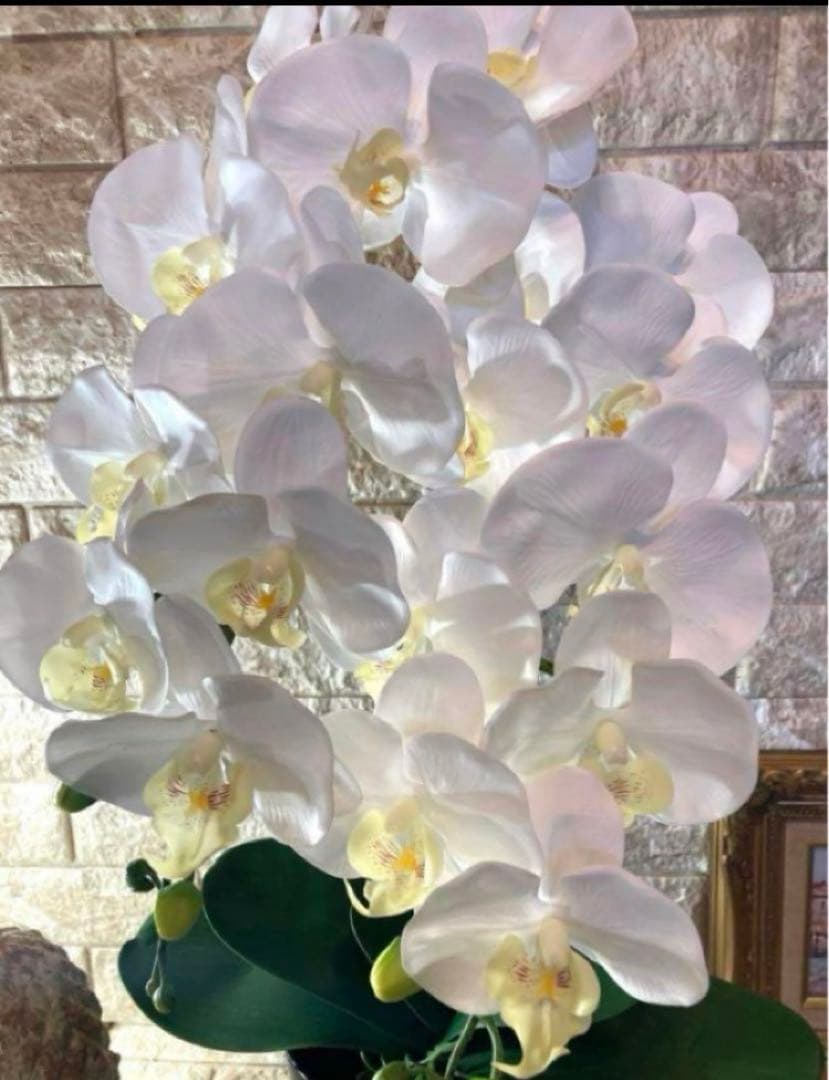 光触媒　人工観葉植物　ウォールグリーン　フェイクグリーン　リアル胡蝶蘭w2