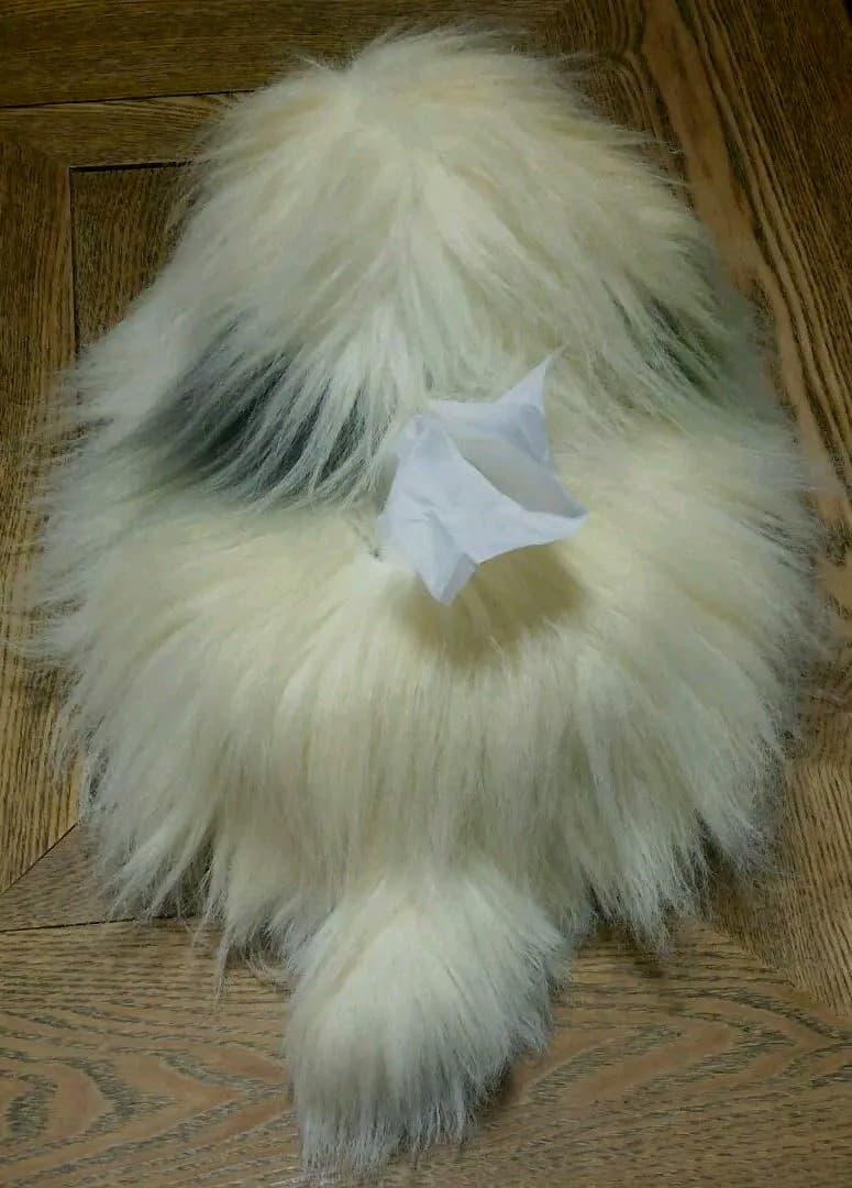 アンティーク　犬ティッシュカバー　レトロ　希少　いぬ　羊毛フェルト風　インテリア