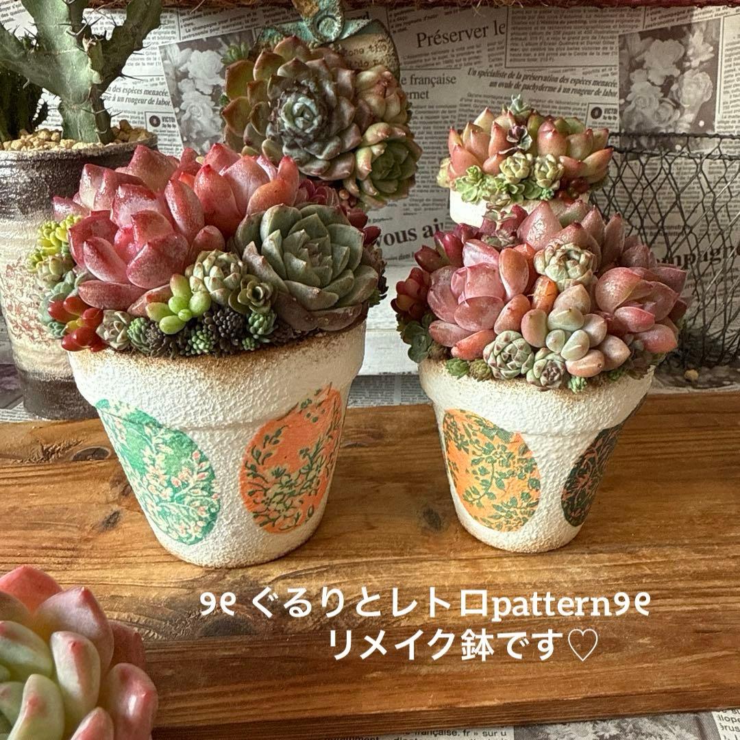 ❤︎レトロ柄リメイク鉢❤︎ そのまま飾れる多肉植物寄せ植え　リメ鉢ちまリメ缶花苗