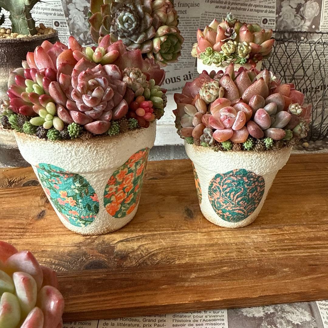 ❤︎レトロ柄リメイク鉢❤︎ そのまま飾れる多肉植物寄せ植え　リメ鉢ちまリメ缶花苗