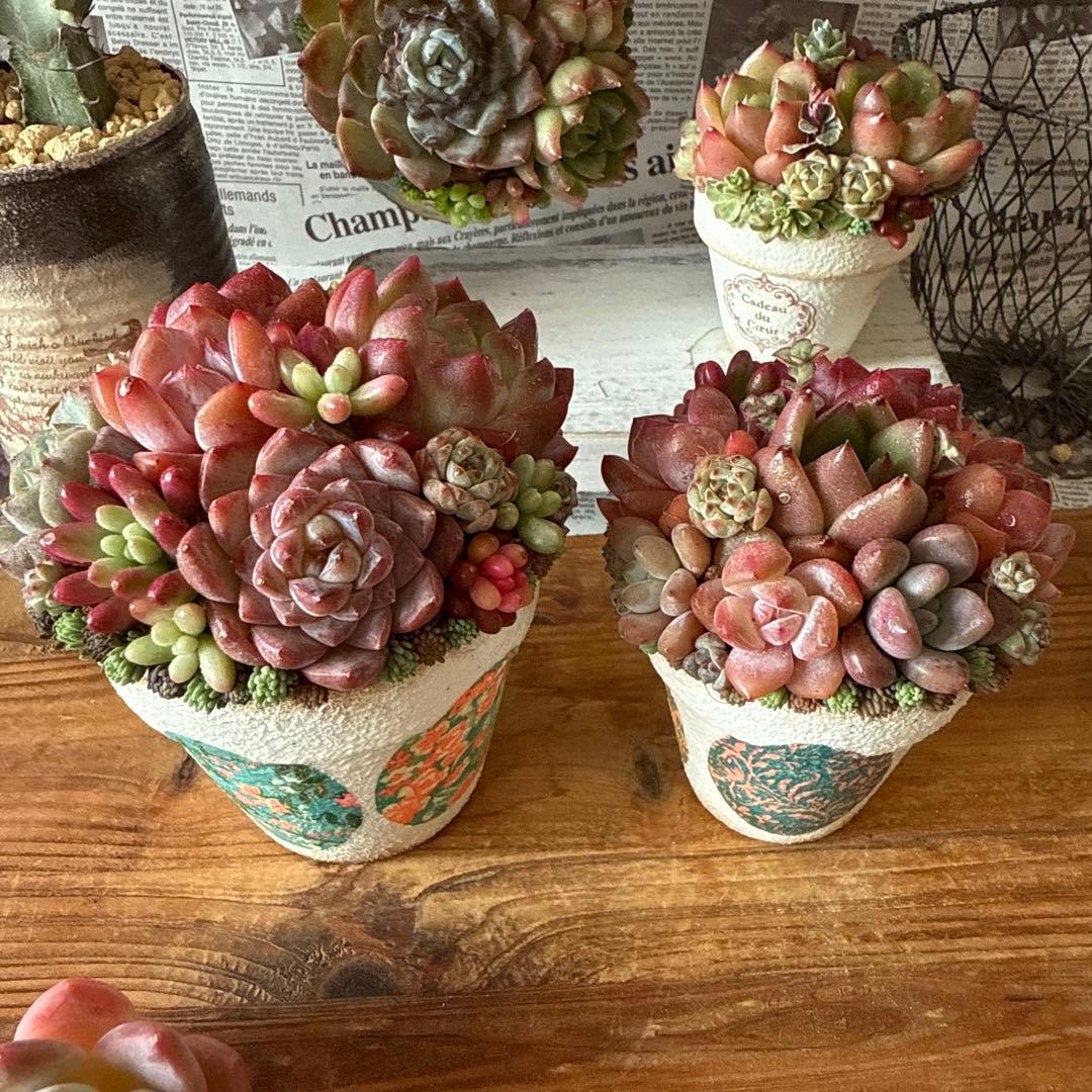 ❤︎レトロ柄リメイク鉢❤︎ そのまま飾れる多肉植物寄せ植え　リメ鉢ちまリメ缶花苗