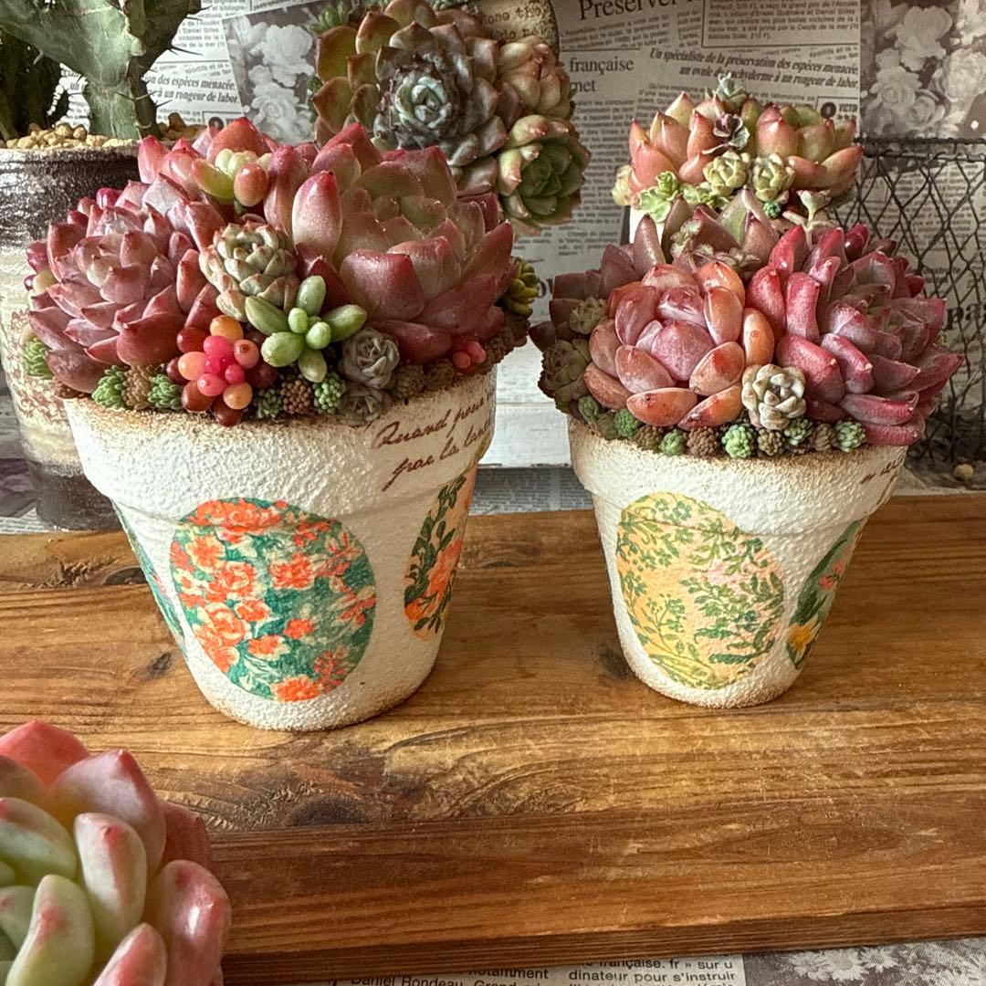 ❤︎レトロ柄リメイク鉢❤︎ そのまま飾れる多肉植物寄せ植え　リメ鉢ちまリメ缶花苗