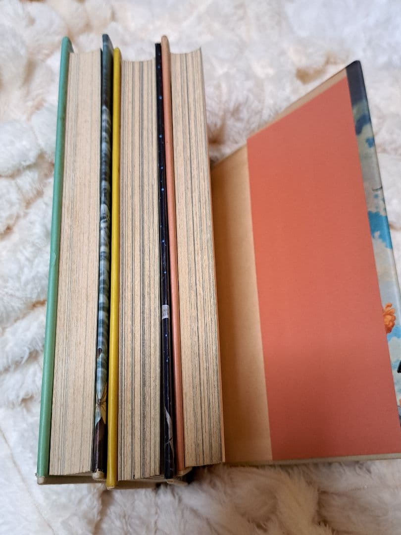 星の時計のLiddell 全3巻　初版　内田善美　リデル