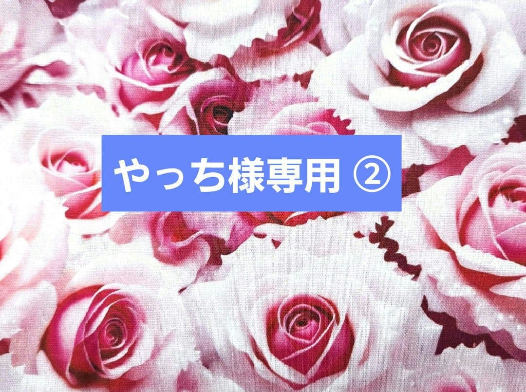 やっち②ポーチ