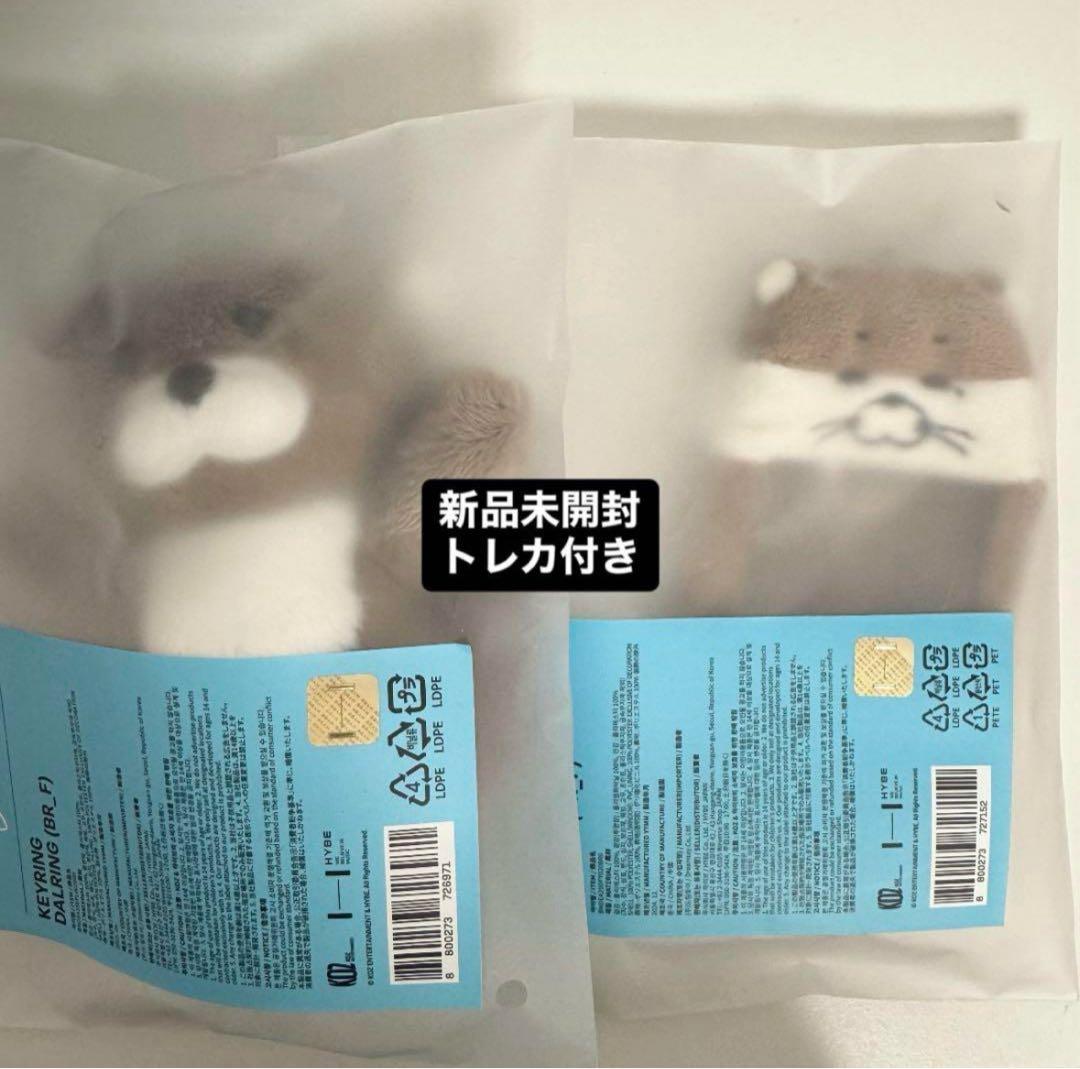 プネクド リウセット