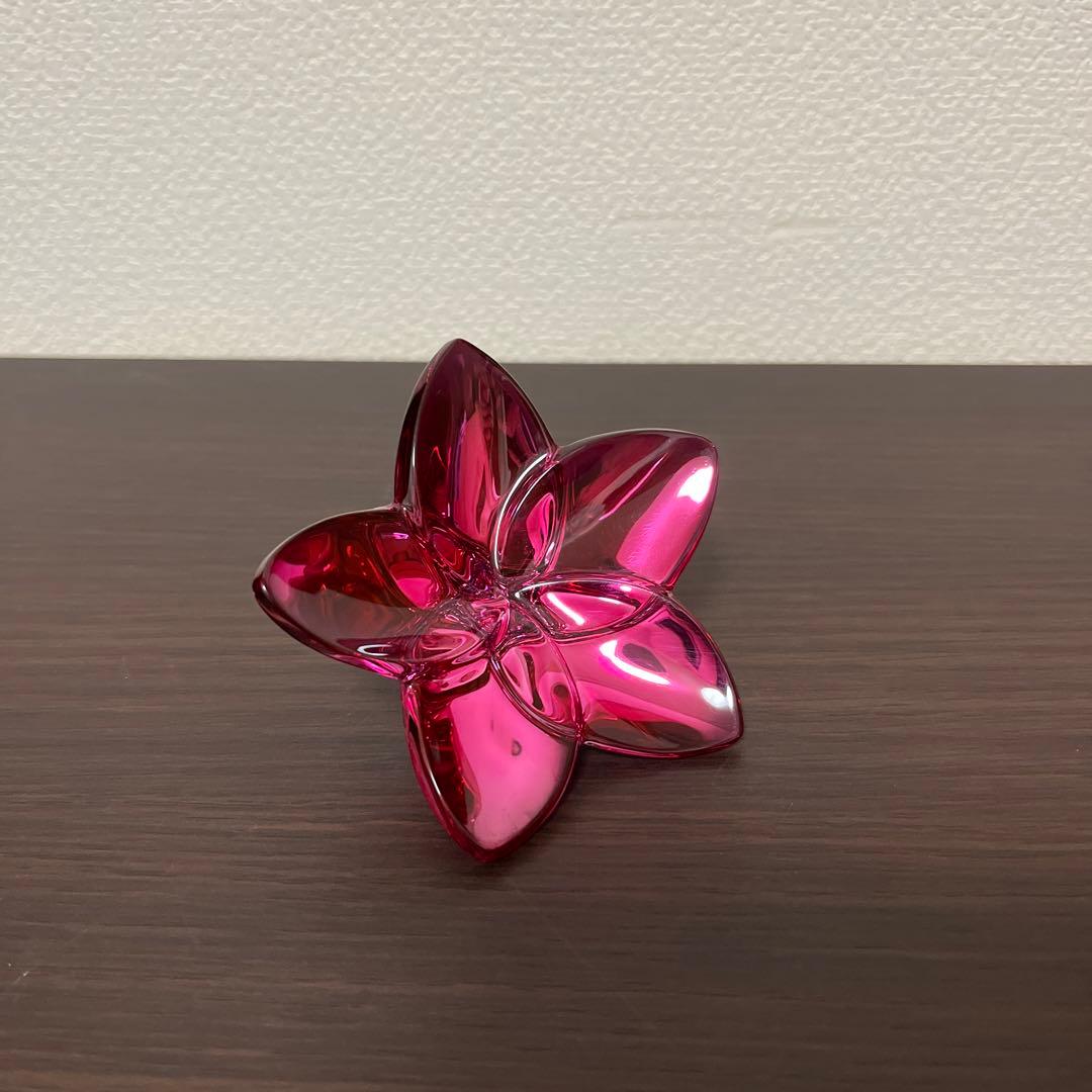 バカラ　ブルーム　ピオニー