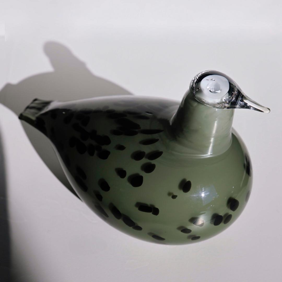 Finn Board イッタラ　バード　オイバトイッカ　イッタラ