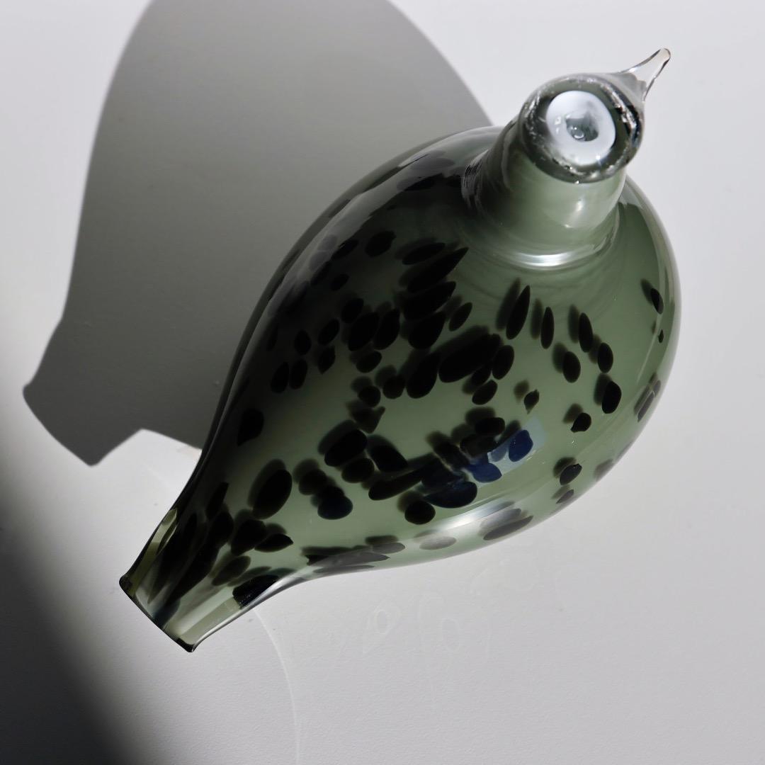 Finn Board イッタラ　バード　オイバトイッカ　イッタラ