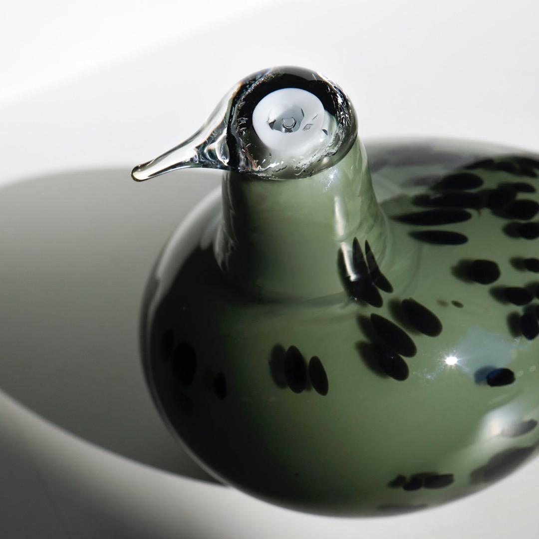 Finn Board イッタラ　バード　オイバトイッカ　イッタラ