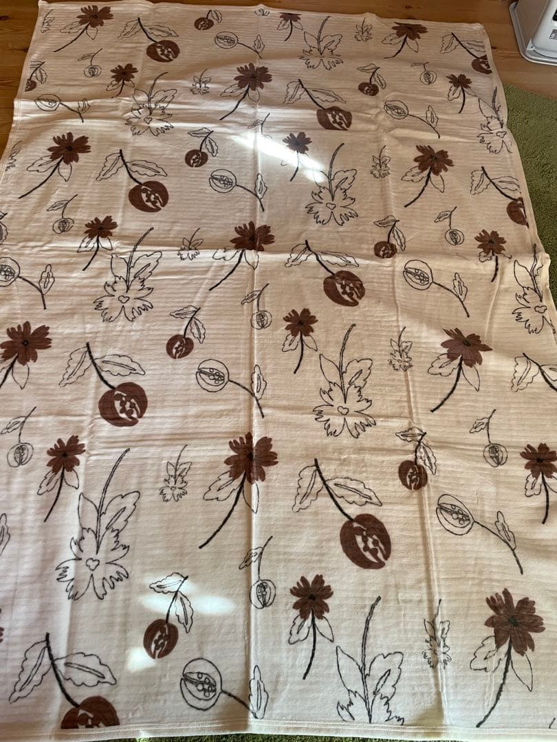 2枚セット【シビラ】リブレ　シール織綿毛布　140×200 R B