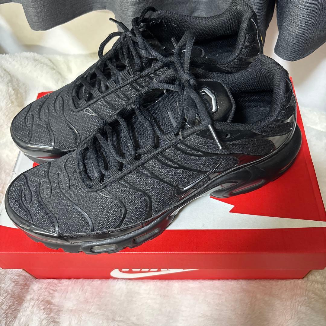 靴 28.5cm Nike Air Max Plus \