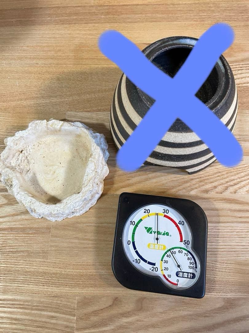 爬虫類飼育セット　ヒュドラケース3120　パネルヒーター　レプタイルサーモ等