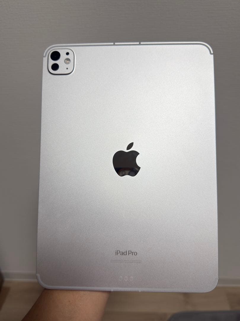 Apple iPad Pro 11インチ (M4) 256GB 美品