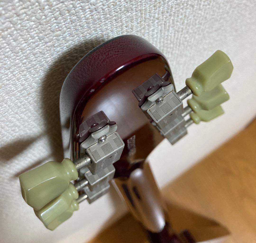 Edwards エドワーズ E-FV-120